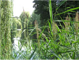 Affirmationen Bild 3